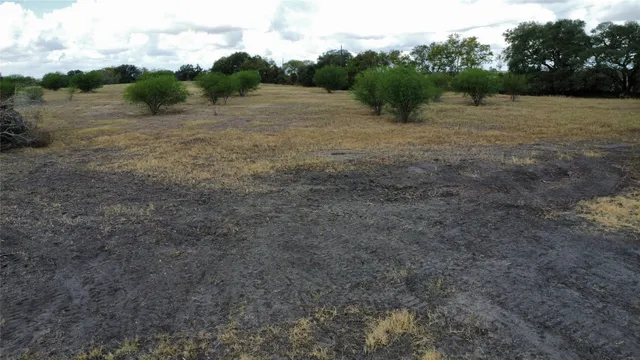 a view of a field with trees in the background
