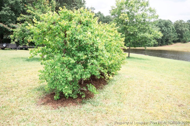 2847 Pickard Road Sanford, NC 27330 - Photo 37 of 46