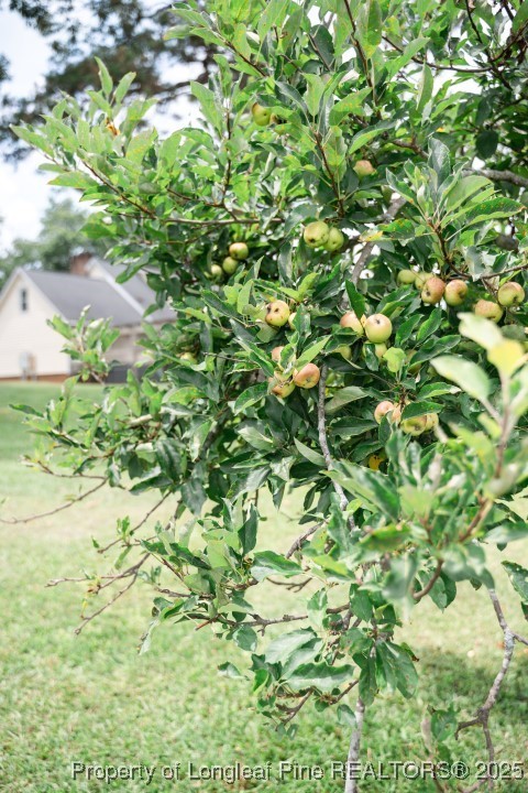 2847 Pickard Road Sanford, NC 27330 - Photo 38 of 46