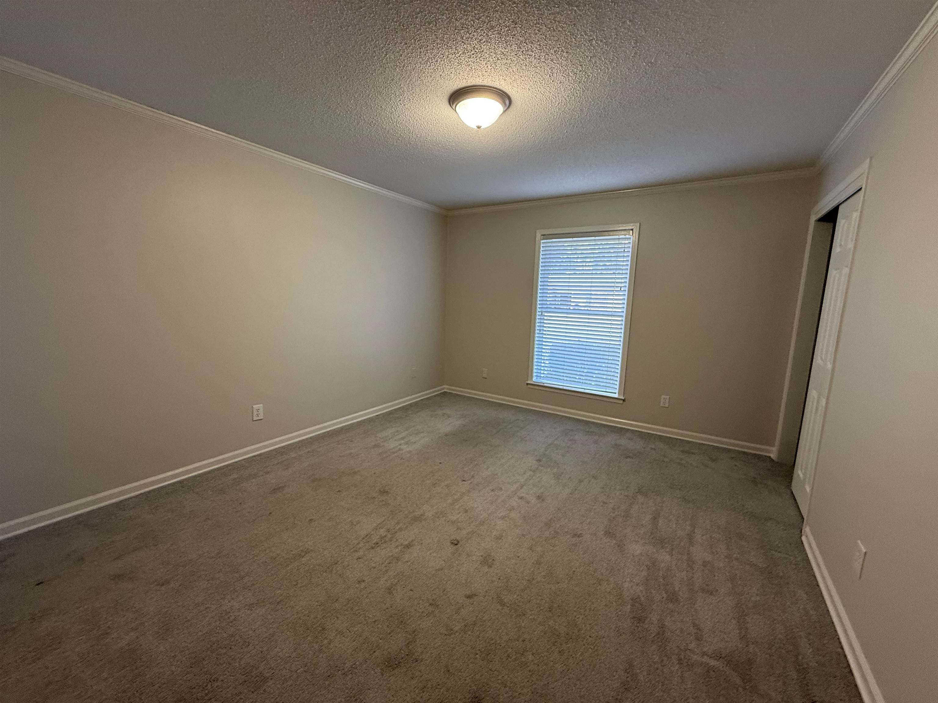 5701 Baird Drive Memphis, TN 38119 - Photo 8 of 12 Unfurnished room featuring crown molding, a textured ceiling, and dark colored carpet