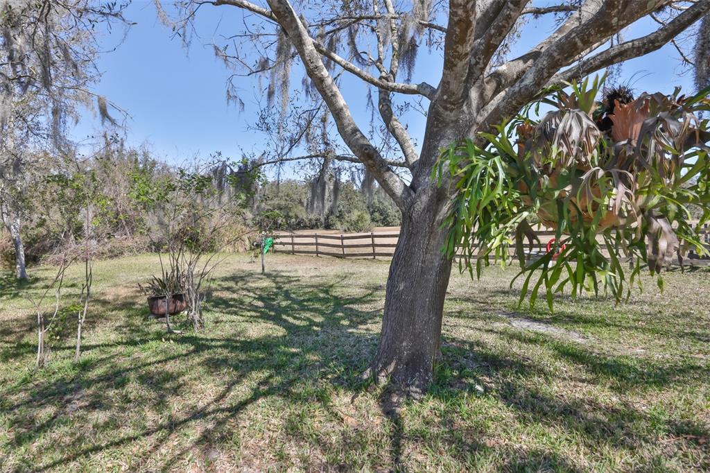 20112 Hobbs Road Wimauma, FL 33598 - Photo 40 of 94 a view of outdoor space with trees