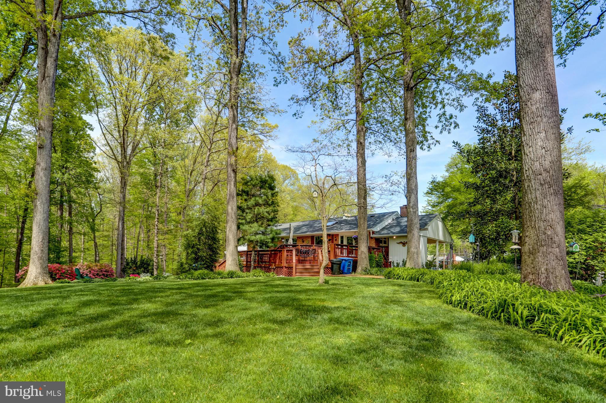 5616 Rathbone Place Springfield, VA 22151 - Photo 22 of 25 Exterior (Rear)