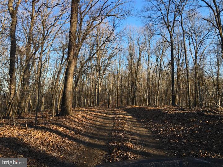Cherry Bottom Lane Ridgeley, MD 26753 - Photo 1 of 10