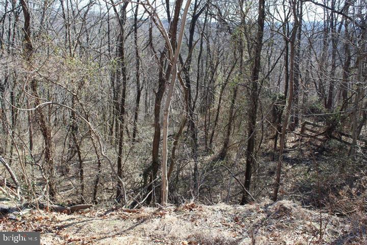 Cherry Bottom Lane Ridgeley, MD 26753 - Photo 2 of 10