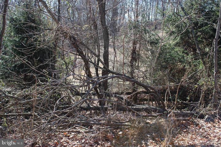 Cherry Bottom Lane Ridgeley, MD 26753 - Photo 3 of 10