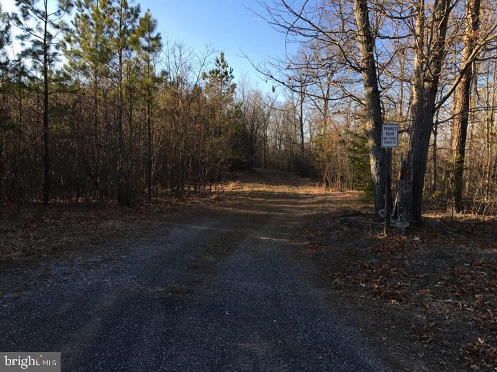 Cherry Bottom Lane Ridgeley, MD 26753 - Photo 5 of 10