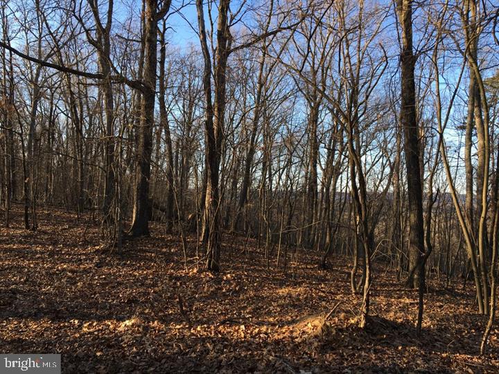 Cherry Bottom Lane Ridgeley, MD 26753 - Photo 6 of 10