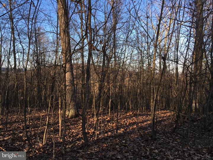 Cherry Bottom Lane Ridgeley, MD 26753 - Photo 7 of 10