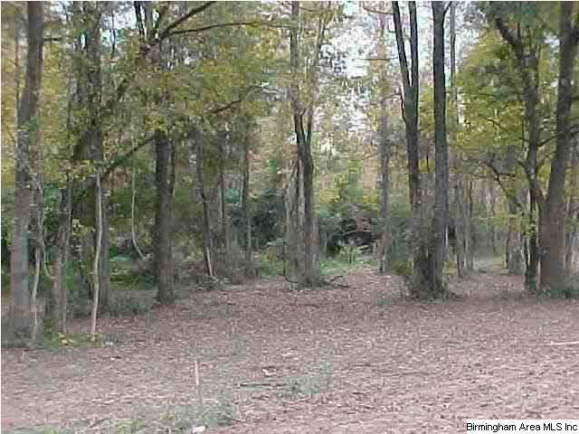 0 Brimer Road East, Unit 1 Anniston, AL 36207 - Photo 1 of 1