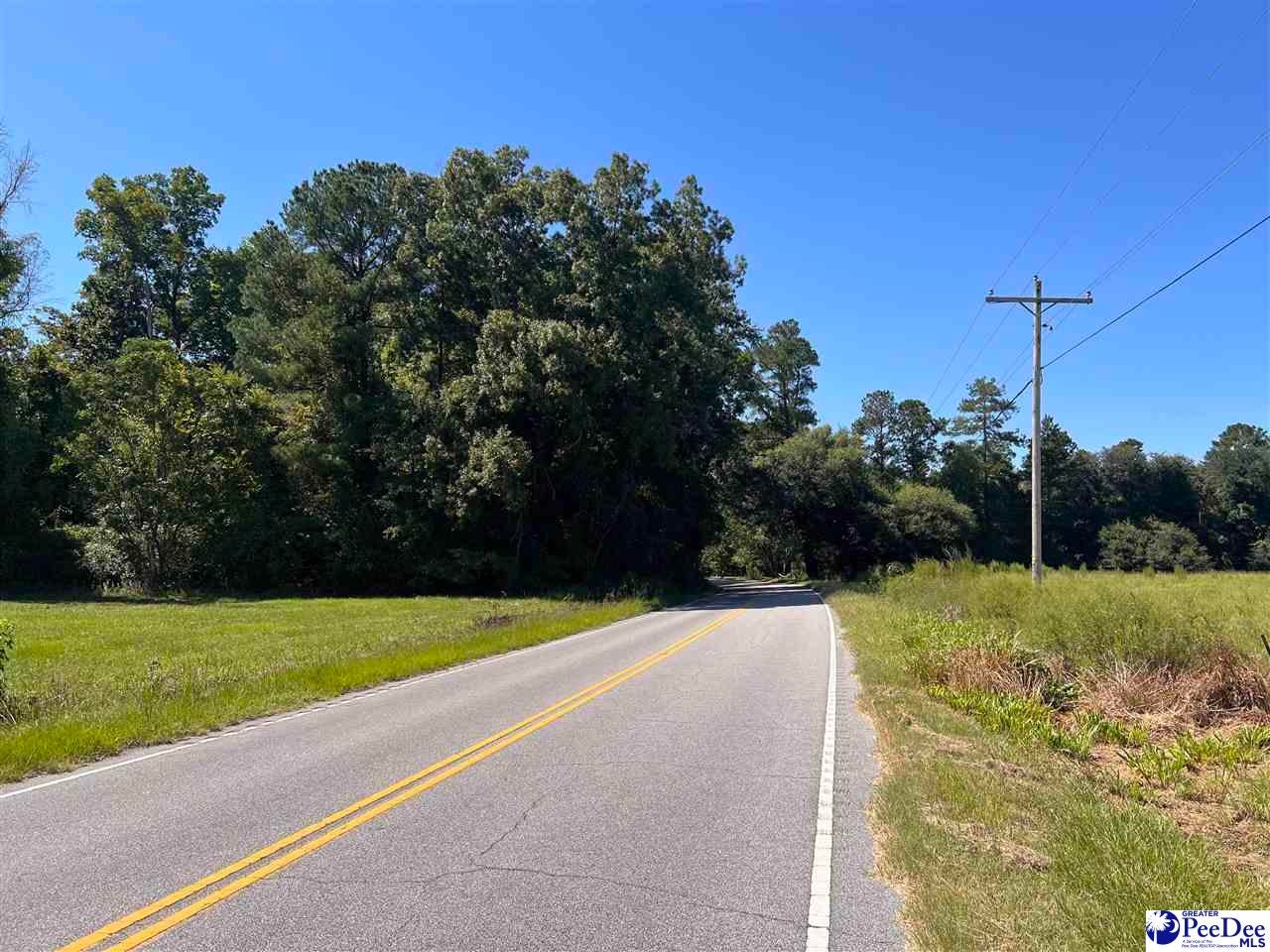 740 County Rd S-45-194 Hemingway, SC 29554 - Photo 12 of 14 Gallery Image 12