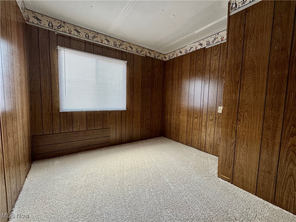 Carpeted spare room with wood walls