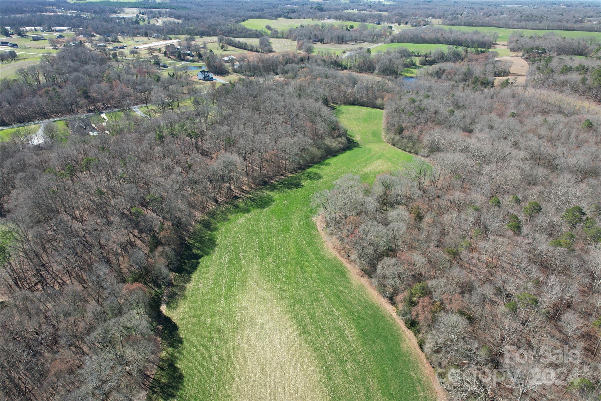 0 Old Ferry Road Monroe, NC 28110 - Photo 12 of 14 a green field with lots of trees in the background