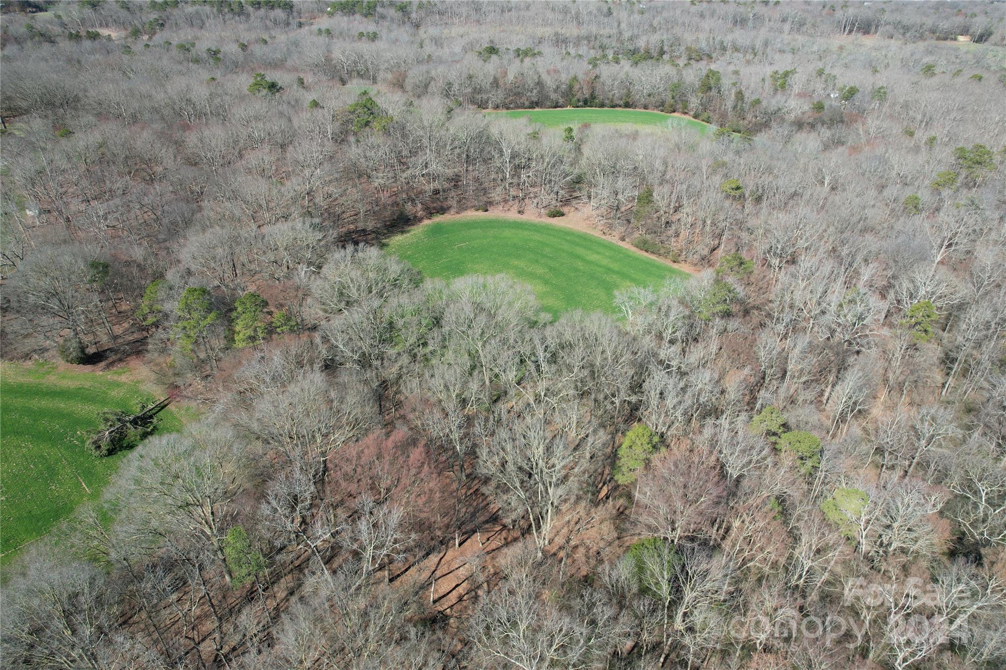 0 Old Ferry Road Monroe, NC 28110 - Photo 8 of 14 a yard with large trees and plants