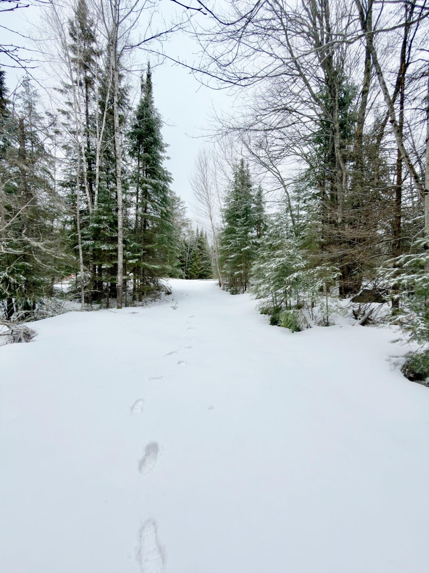 4378 N Kimmear Road Mercer, WI 54547 - Photo 12 of 15 Gallery Image 12