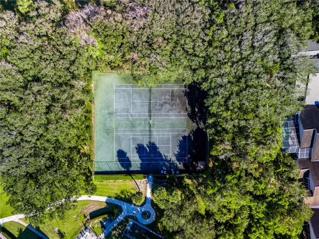 a view of a yard with plants
