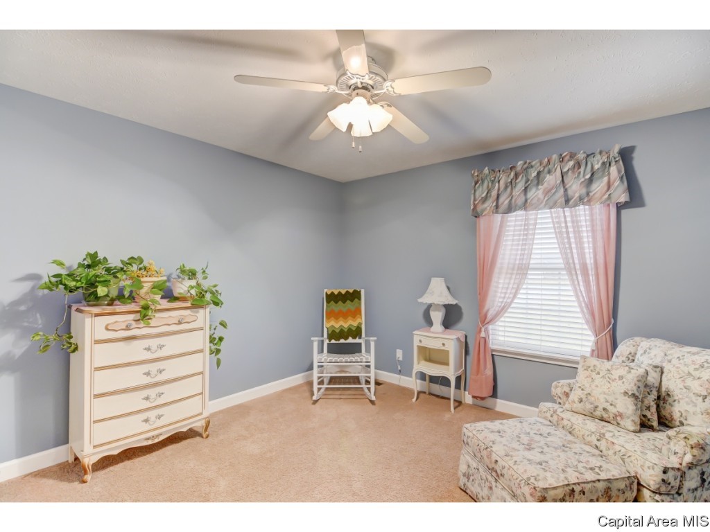 24712 Brookwood Hills Road Athens, IL 62613 - Photo 22 of 36 Gallery Image 22