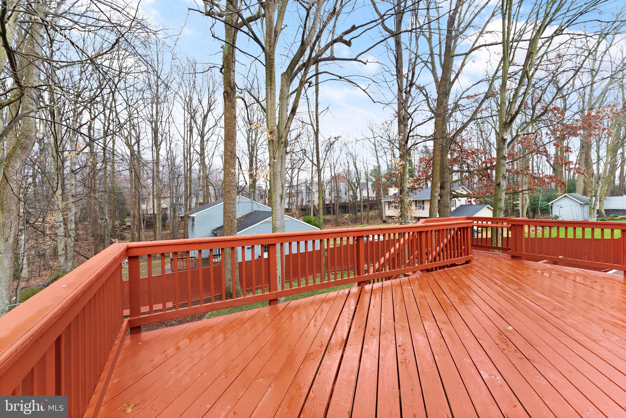 7265 Linden Tree Lane Springfield, VA 22152 - Photo 41 of 49 Gallery Image 41