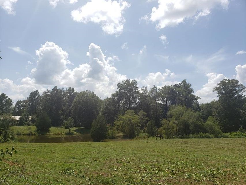 3250 Ballground Road Chatsworth, GA 30705 - Photo 10 of 12 Gallery Image 10