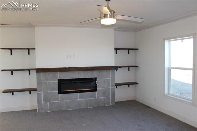40191 Gieck Road Rush, CO 80833 - Photo 6 of 23 Gallery Image 6
