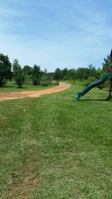 14143 Baptist Ball Park Road Stapleton, AL 36578 - Photo 12 of 21