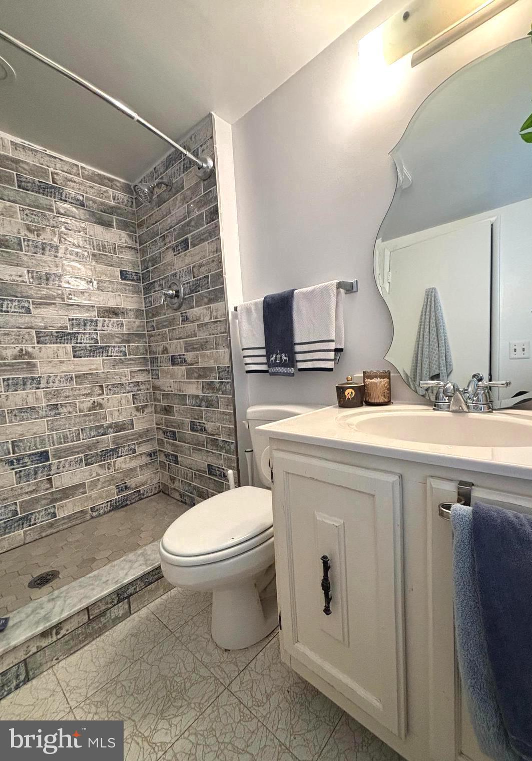 15300 Beaverbrook Court, Unit 882K Silver Spring, MD 20906 - Photo 17 of 21 Primary bathroom with walk in shower
