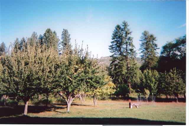 2775 Clarke Road Chewelah, WA 99109 - Photo 7 of 9 Gallery Image 7