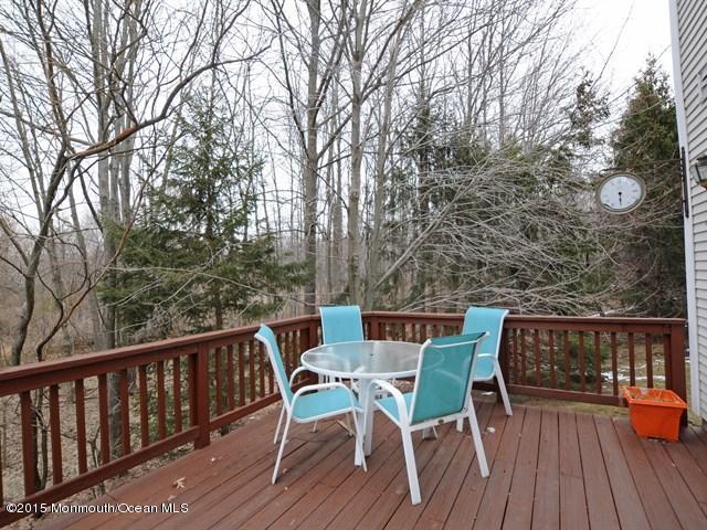 44 Alpine Road Holmdel, NJ 07733 - Photo 17 of 19 View 2 of Deck .jpg