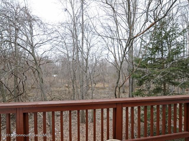 44 Alpine Road Holmdel, NJ 07733 - Photo 19 of 19 View from Deck (1).jpg