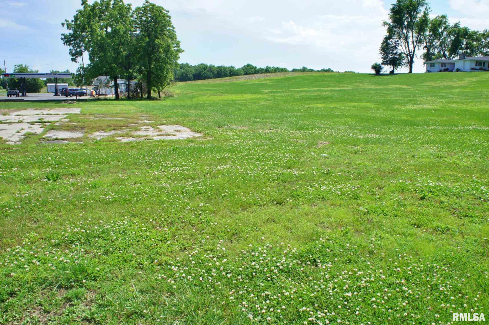 0 Route 37 Road Karnak, IL 62956 - Photo 3 of 6