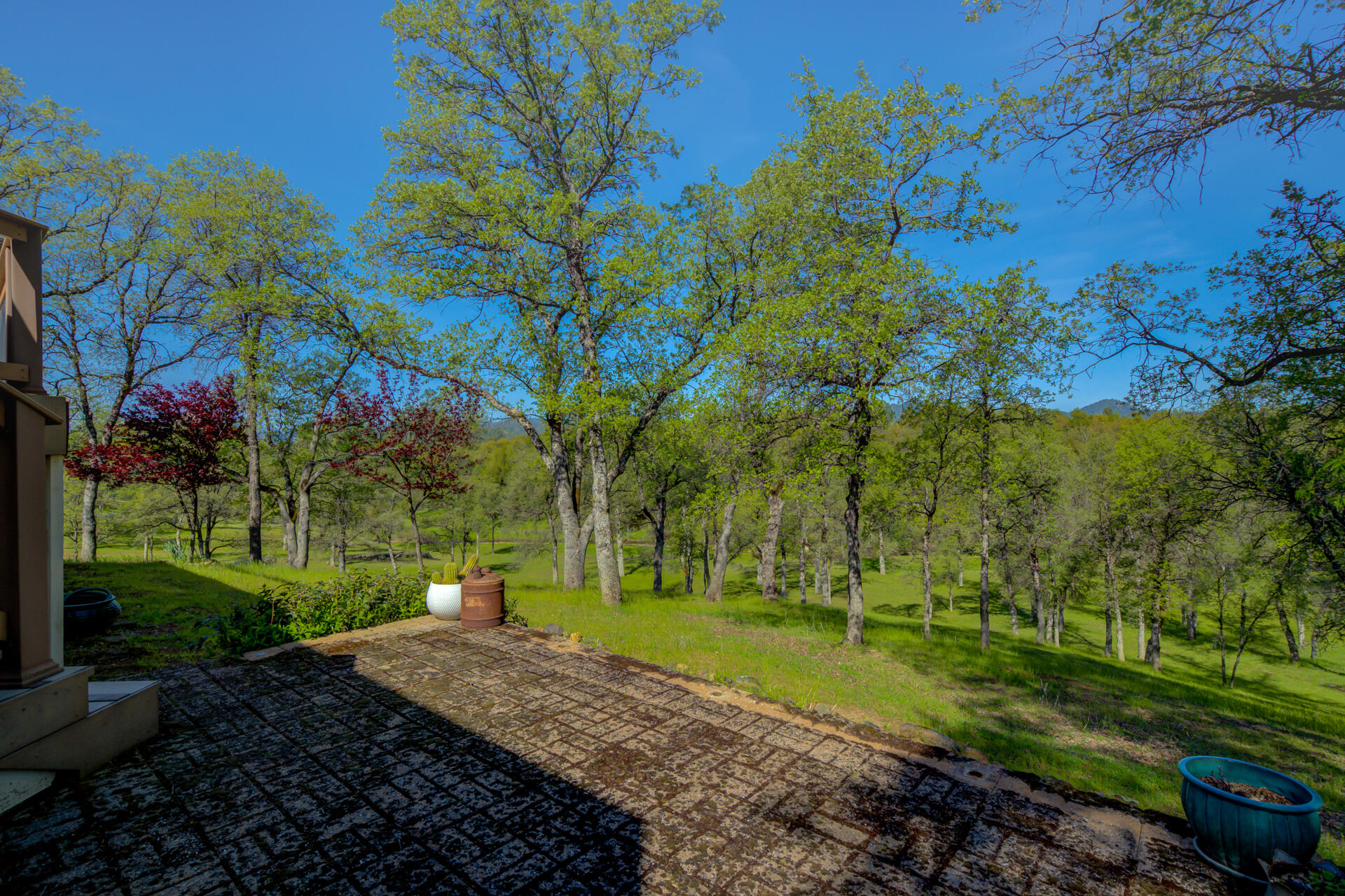 13416 Luna Drive Redding, CA 96003 - Photo 41 of 64 a view of a park with large trees