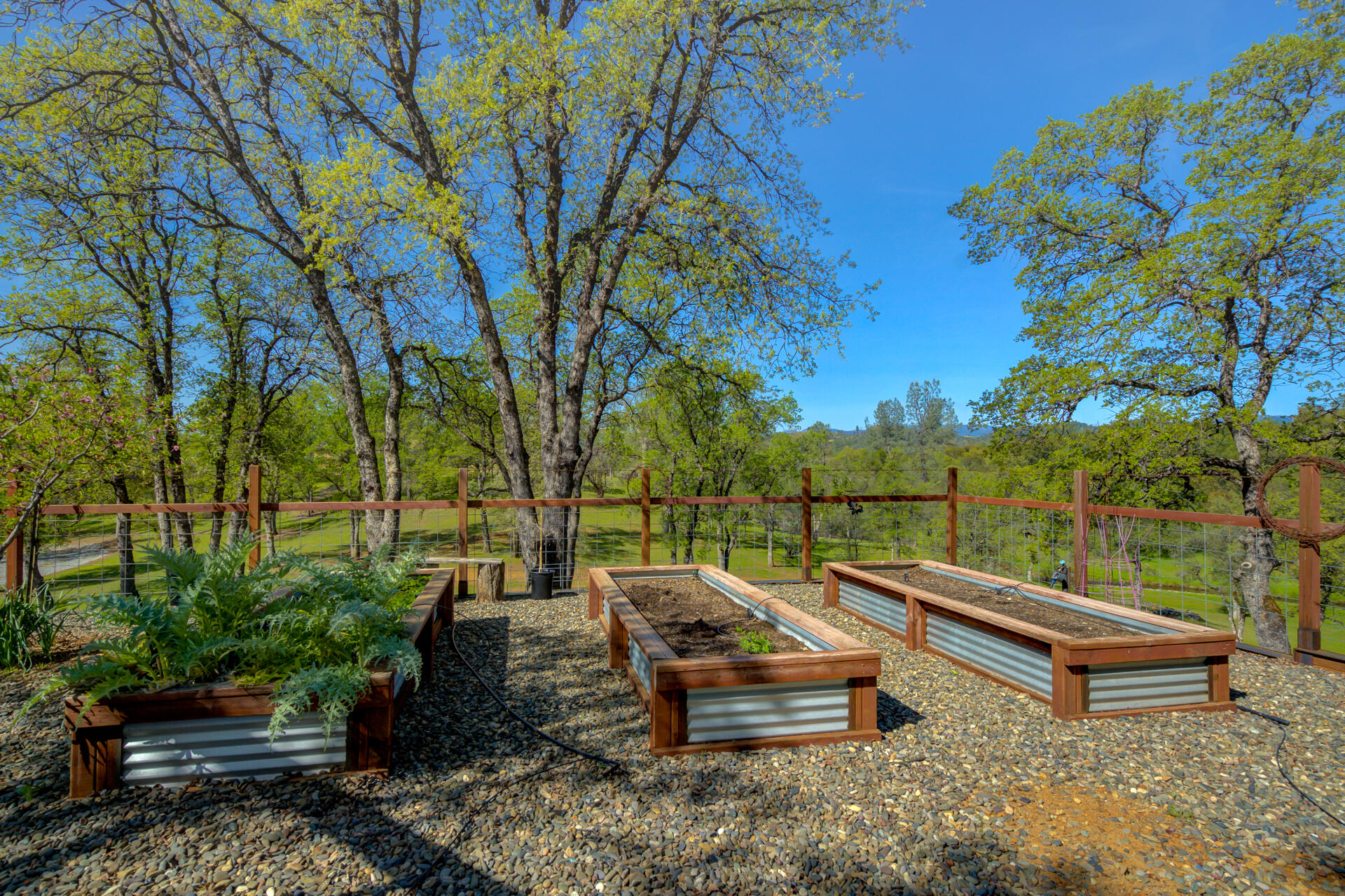 13416 Luna Drive Redding, CA 96003 - Photo 43 of 64 13416LunaDrive-34