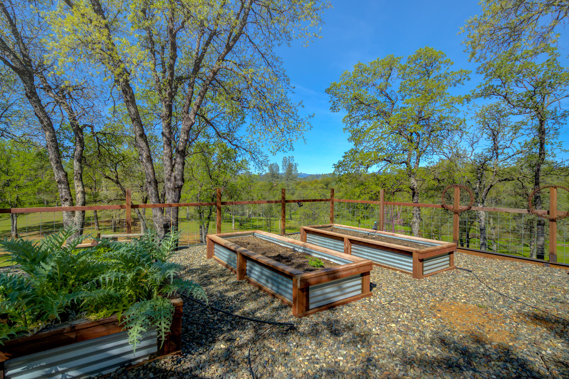 13416 Luna Drive Redding, CA 96003 - Photo 44 of 64 a bench is sitting in the middle of a yard