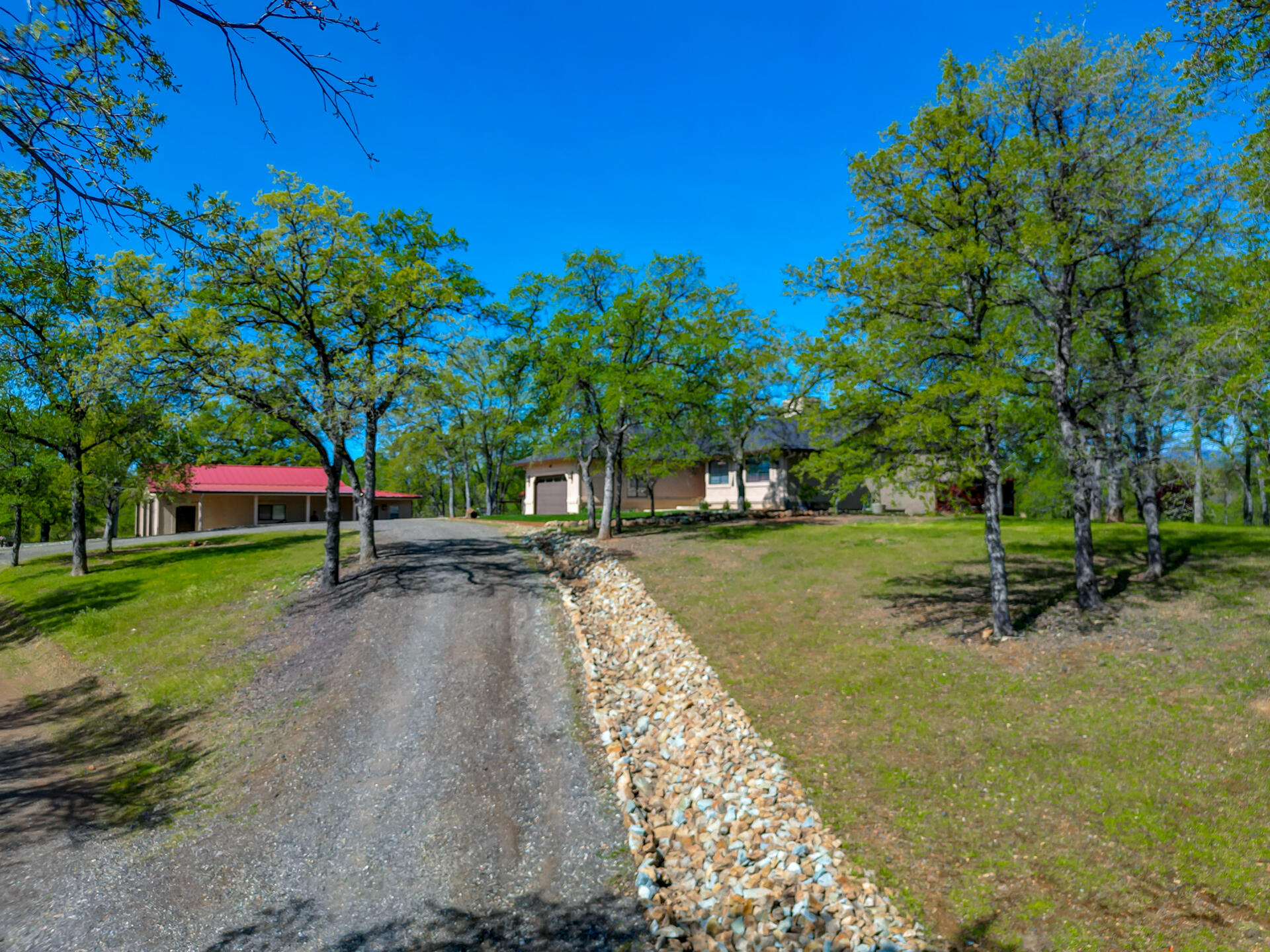13416 Luna Drive Redding, CA 96003 - Photo 58 of 64 a view of a park with large trees