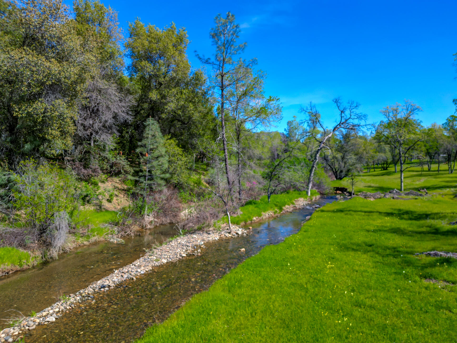 13416 Luna Drive Redding, CA 96003 - Photo 63 of 64 a view of a park with large trees