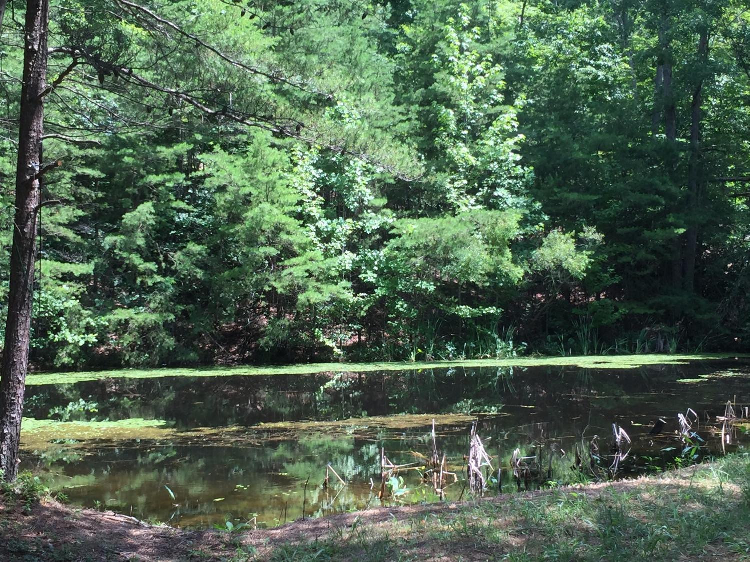 1910 Caudill Road Stanton, KY 40380 - Photo 1 of 50 Photo 1