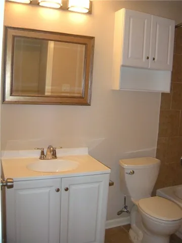 a bathroom with a sink a toilet and vanity