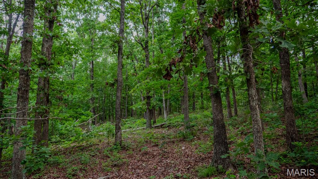 0 Hwy M Cabool, MO 65689 - Photo 17 of 68