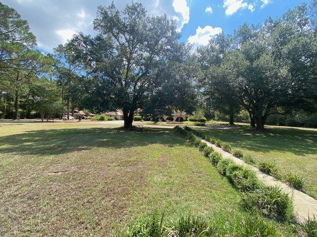 50352 Antioch Road Tickfaw, LA 70466 - Photo 7 of 15 Gallery Image 7