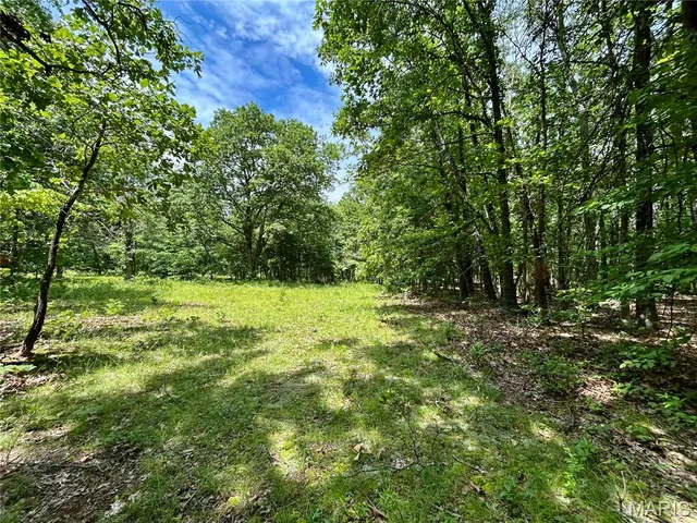 $385,000 | 0 County Road 5500, Salem, MO 65560