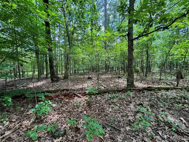 $385,000 | 0 County Road 5500, Salem, MO 65560