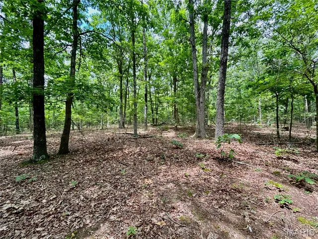 $385,000 | 0 County Road 5500, Salem, MO 65560