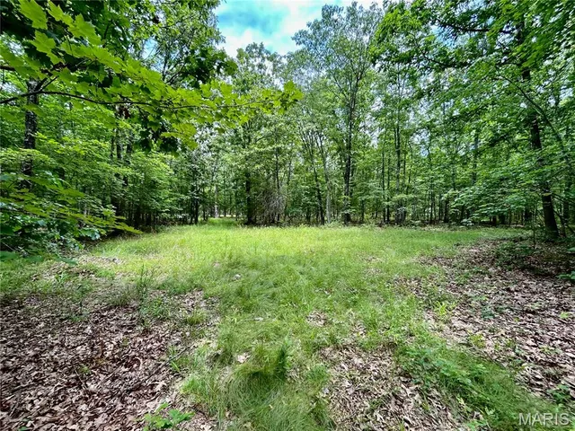 $385,000 | 0 County Road 5500, Salem, MO 65560