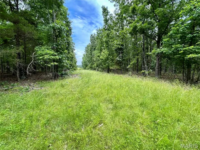 $385,000 | 0 County Road 5500, Salem, MO 65560