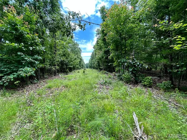 $385,000 | 0 County Road 5500, Salem, MO 65560