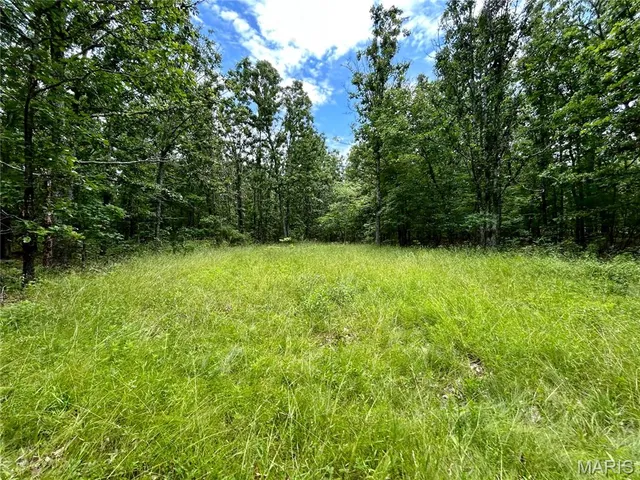 $385,000 | 0 County Road 5500, Salem, MO 65560