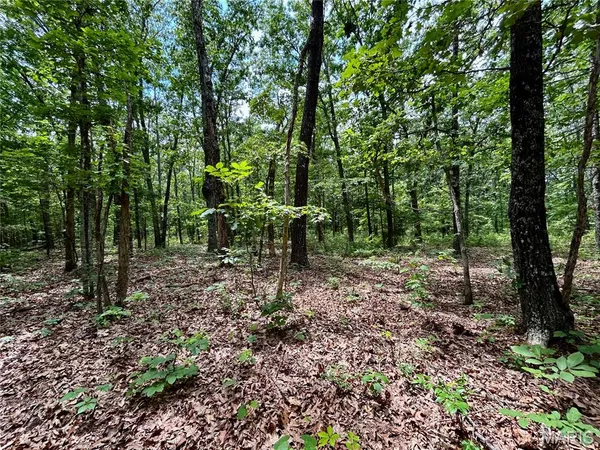 $385,000 | 0 County Road 5500, Salem, MO 65560