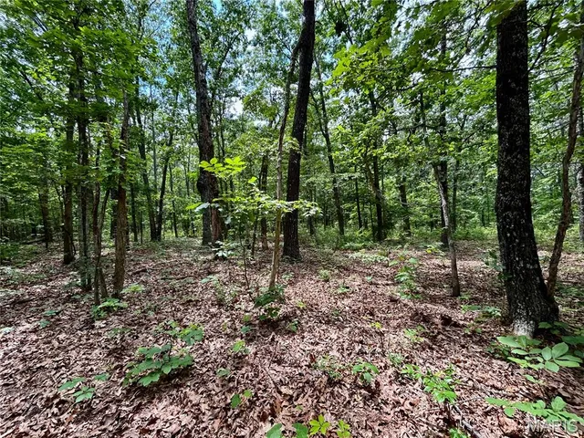 $385,000 | 0 County Road 5500, Salem, MO 65560