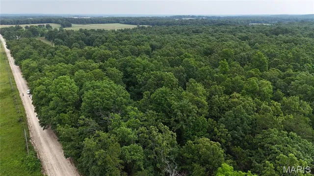 $385,000 | 0 County Road 5500, Salem, MO 65560