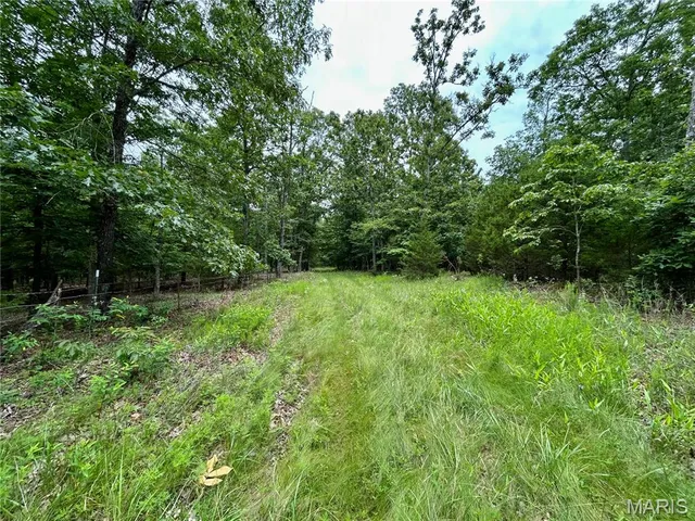 $385,000 | 0 County Road 5500, Salem, MO 65560