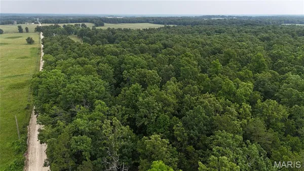 $385,000 | 0 County Road 5500, Salem, MO 65560